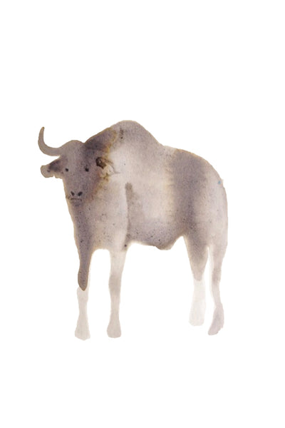 a lot of animals set (18 postcards)