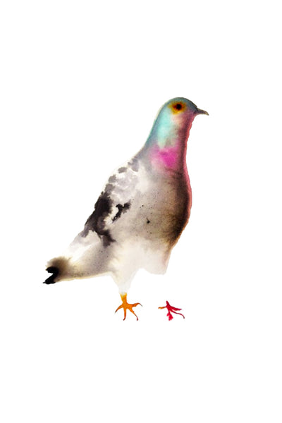 a lot of animals set (18 postcards)
