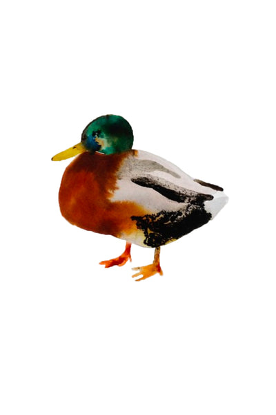 a lot of animals set (18 postcards)