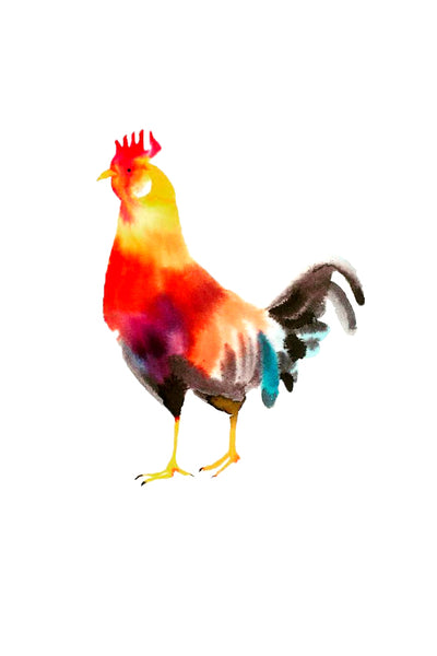 a lot of animals set (18 postcards)