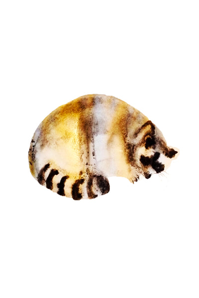 a lot of animals set (18 postcards)