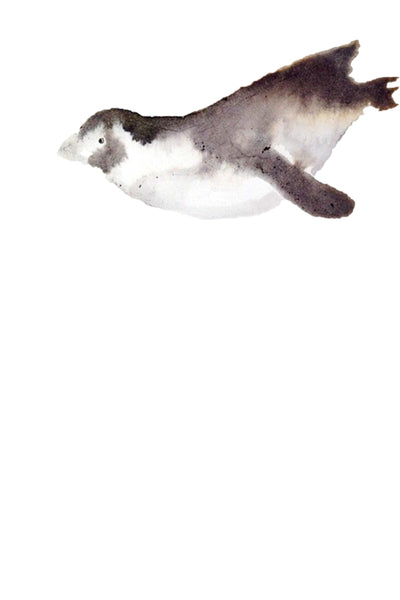 a lot of animals set (18 postcards)