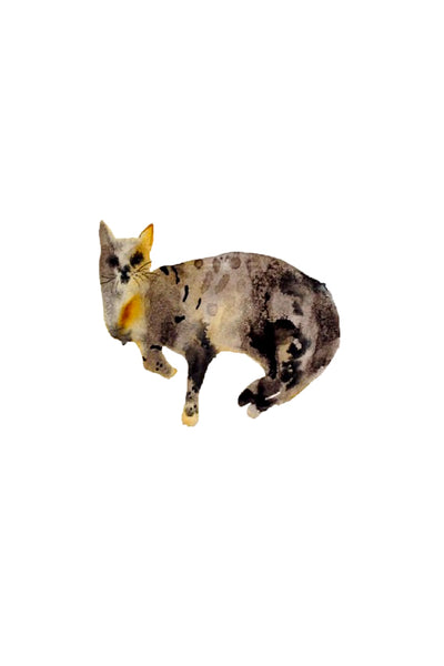 a lot of animals set (18 postcards)