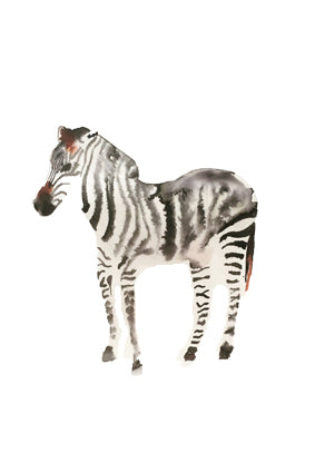 a lot of animals set (18 postcards)