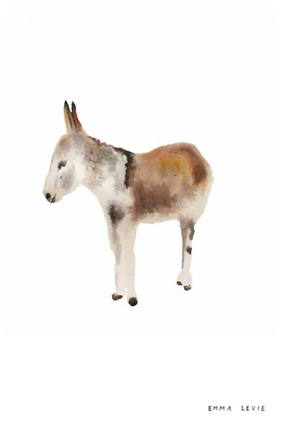 nogmeerdierenset