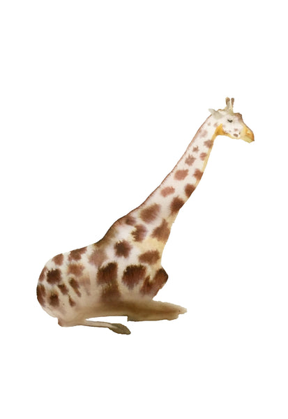nogmeerdierenset