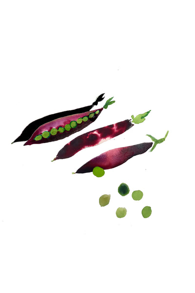 Vitamine Z