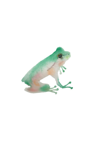 nogmeerdierenset