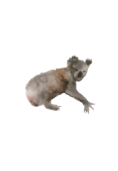 nogmeerdierenset