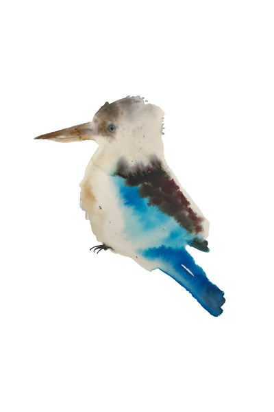 a lot of birds set (18 postcards)