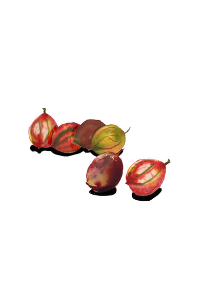 Vitamine Z