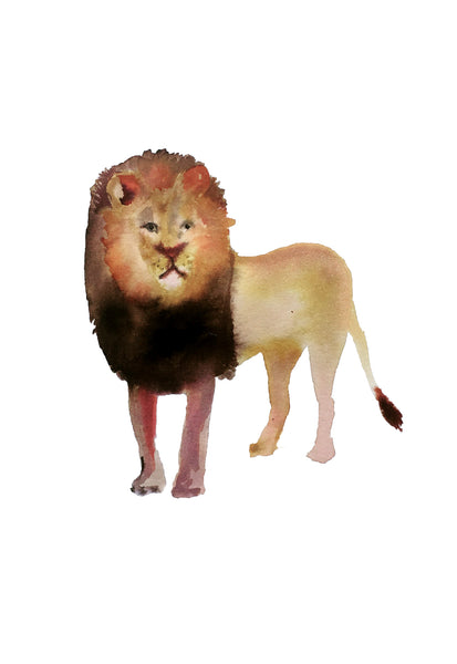 nogmeerdierenset