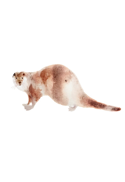 nogmeerdierenset