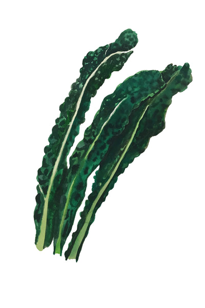 Vitamine Z