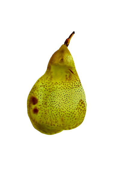 Vitamine Z