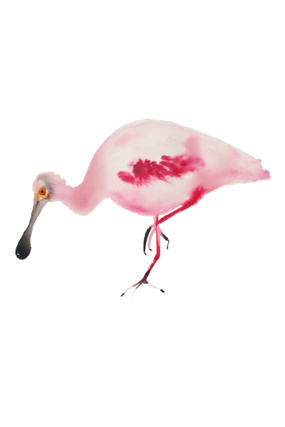 a lot of birds set (18 postcards)