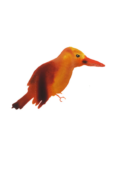 a lot of birds set (18 postcards)