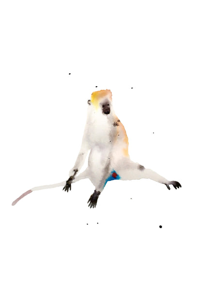 nogmeerdierenset