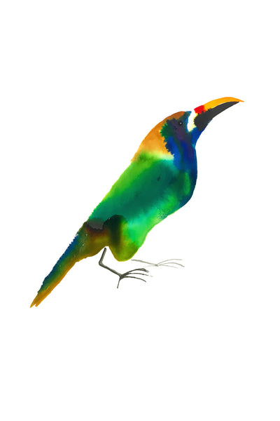 a lot of birds set (18 postcards)