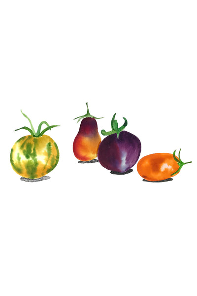 Vitamine Z