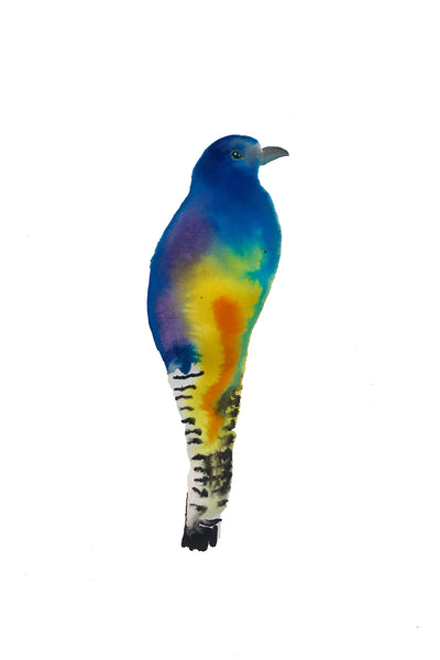 a lot of birds set (18 postcards)