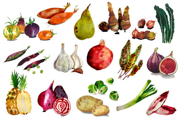Vitamine Z