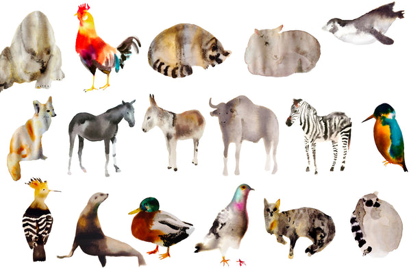 a lot of animals set (18 postcards)