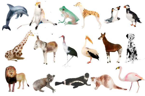 moor animal set (18 postcards)